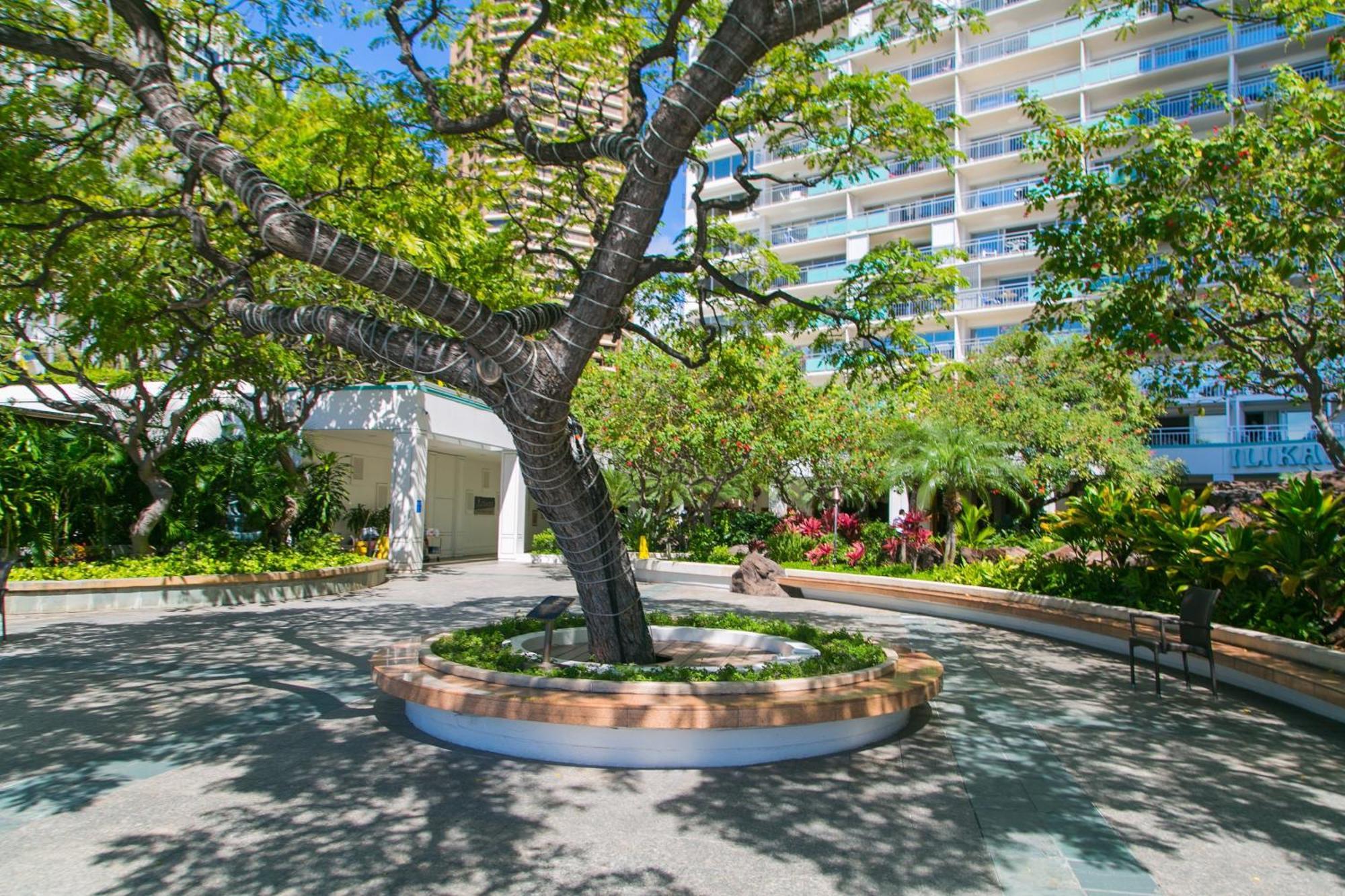 Ilikai Tower 936 Lagoon View 1Br Гонолулу Екстер'єр фото